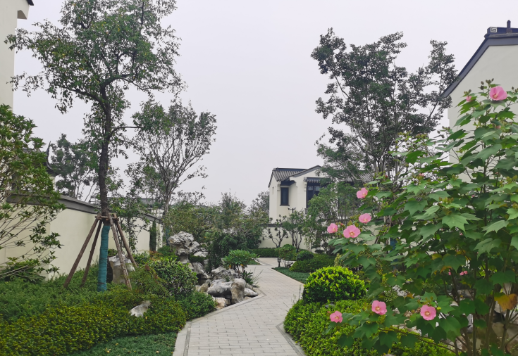  周口住宅小區(qū)綠化項(xiàng)目工程結(jié)算    